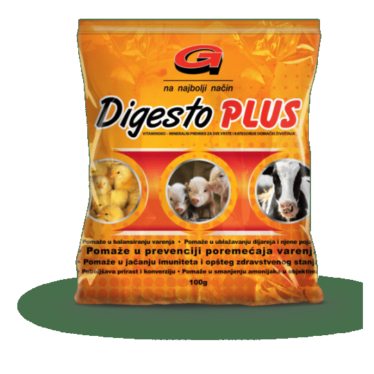 Digesto Plus